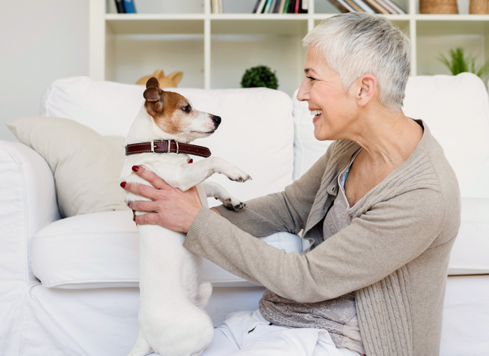 Un chien dans les unités du LUX Gouverneur - Condos Locatifs 55+